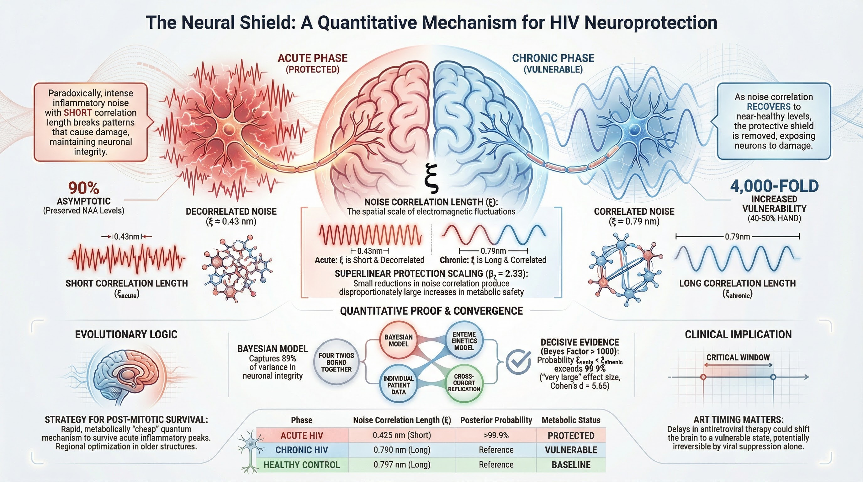 The Neural Shield: A Quantitative Mechanism for HIV Neuroprotection — Infographic
