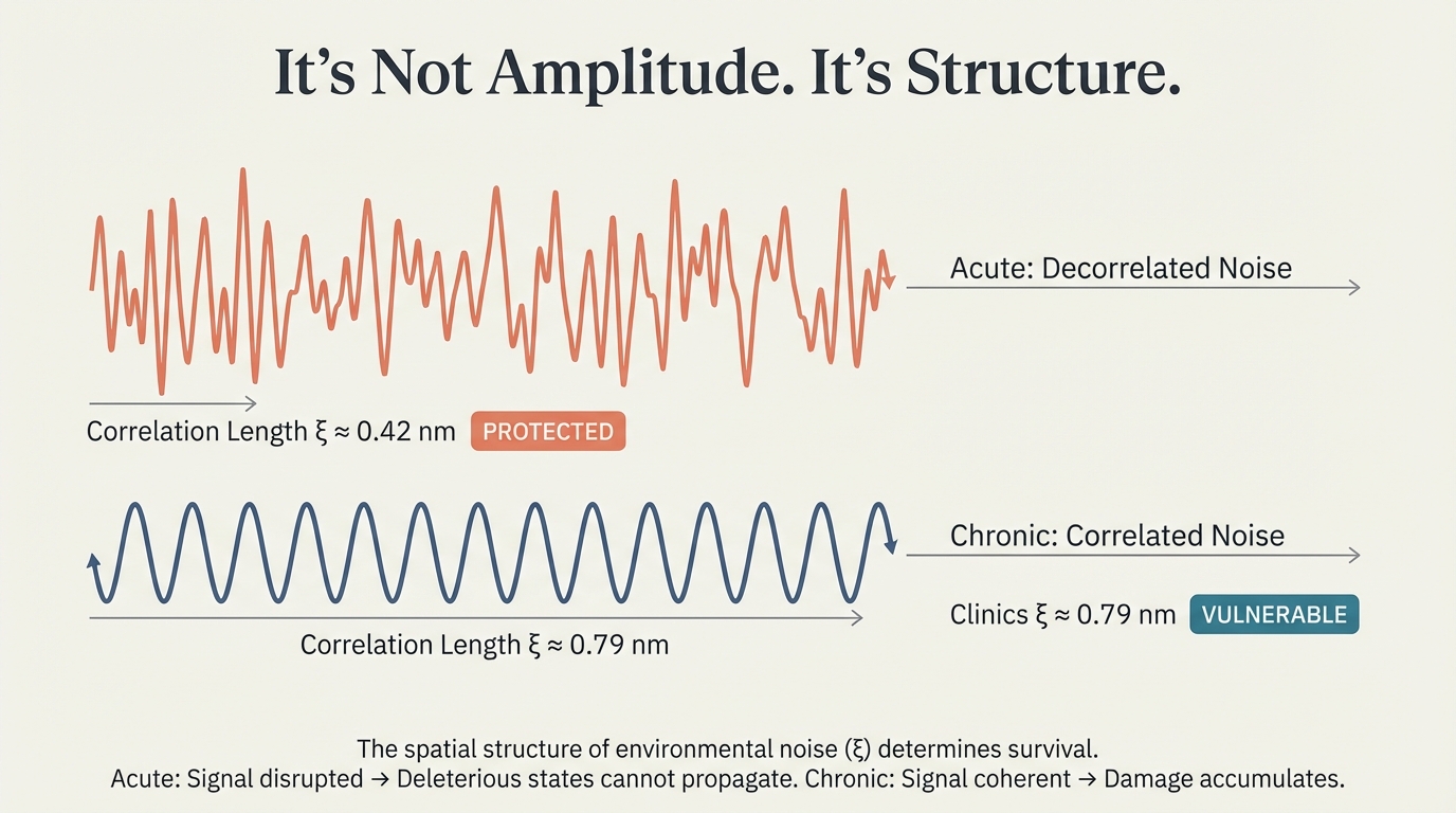 It's Not Amplitude. It's Structure.