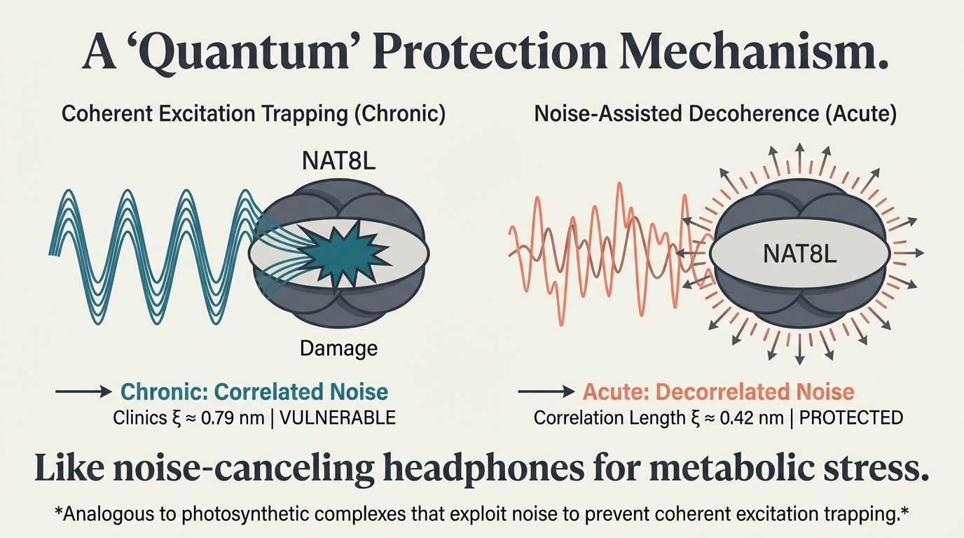 A Quantum Protection Mechanism