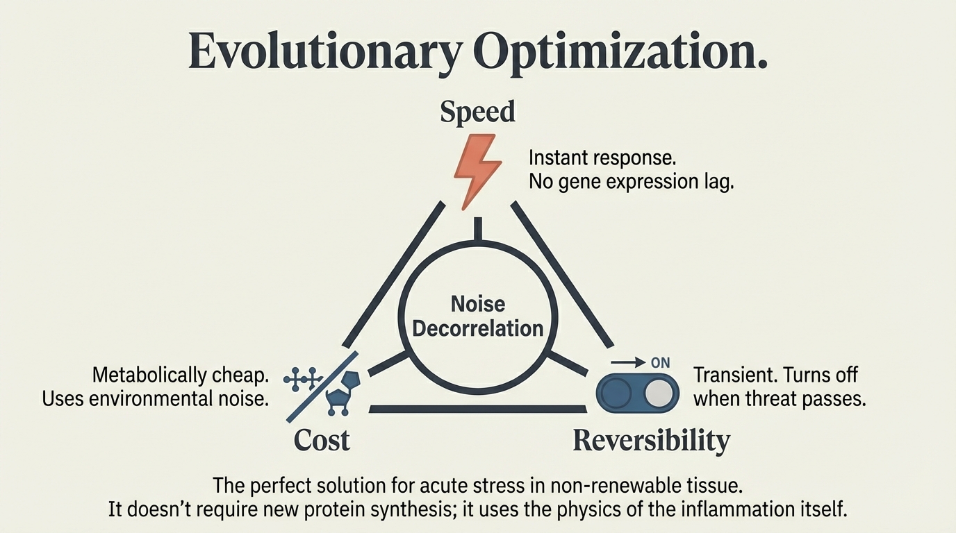 Evolutionary Optimization: Speed, Cost, Reversibility