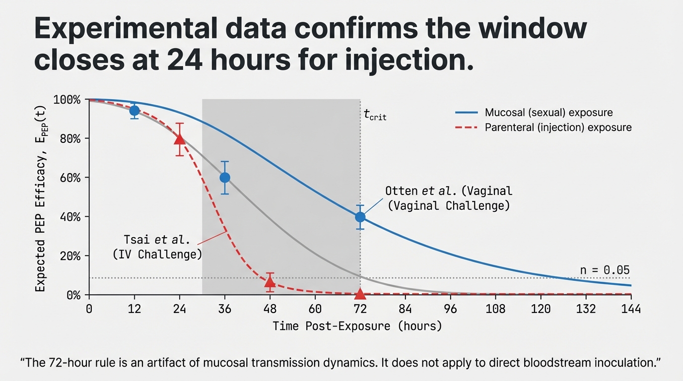Experimental data confirms the window closes at 24 hours for injection